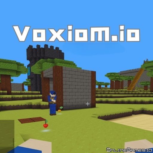 Voxiom Online Game
