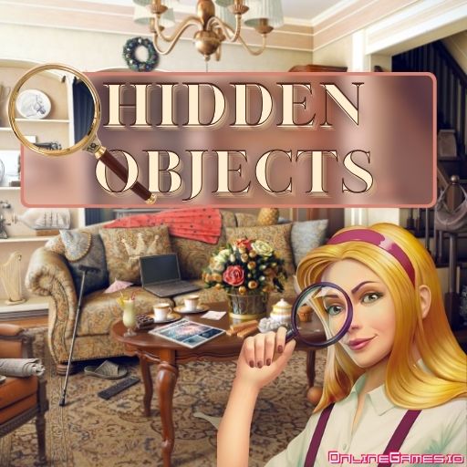 Hidden Objects Brain Teaser Online Game