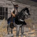 Horse Games Online